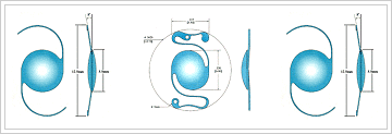 각종 인공수정체의 모양